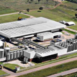 Cervejaria Petrópolis (Itaipava)